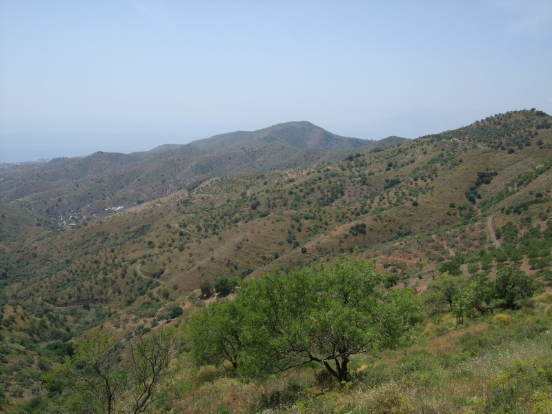 Anadalusien 2009 - 0074 